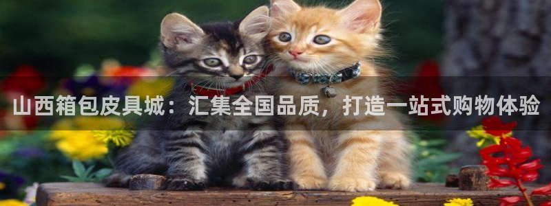 富邦娱乐怎么样