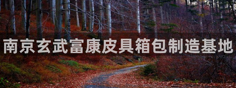 富邦游娱乐团购