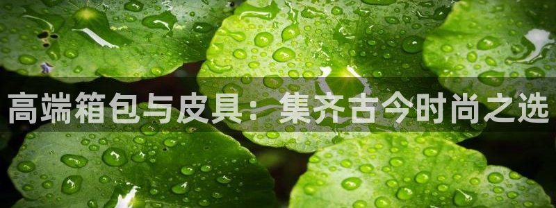 富邦娱乐app那里下载