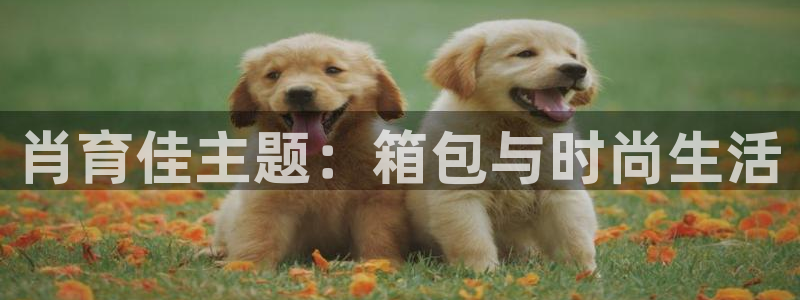 壹家娱乐北仑区富邦