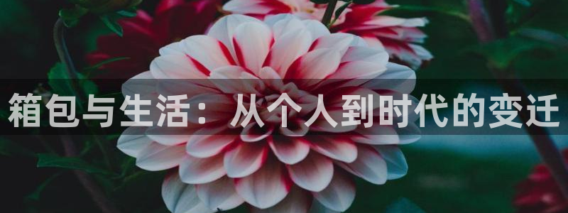 富邦娱乐网址是