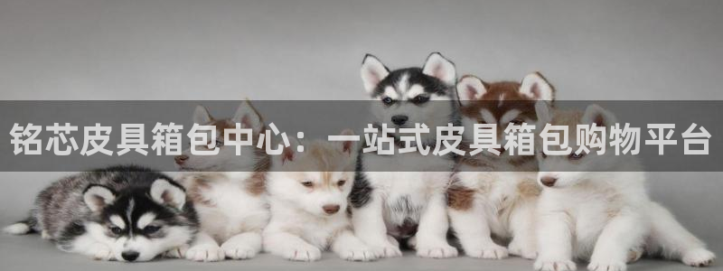hubang富邦娱乐