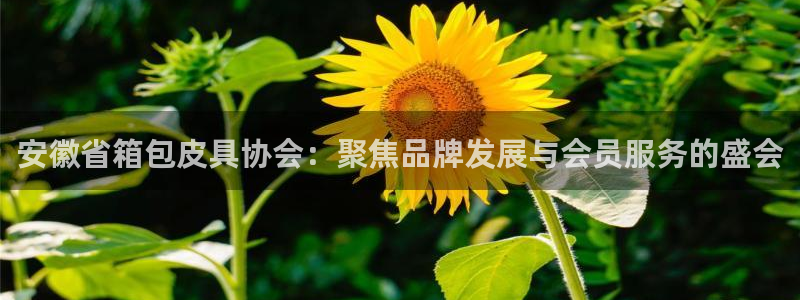 屏山富邦娱乐会所电话地址