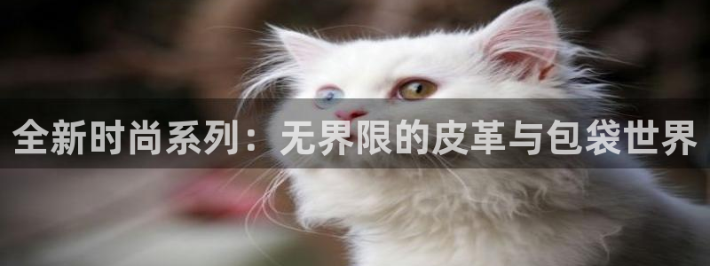 富邦广场娱乐