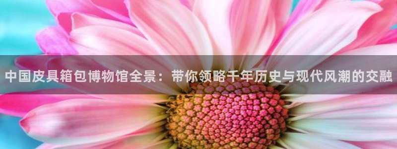 富邦翡翠娱乐怎么样知乎
