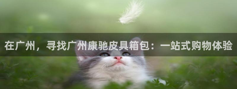 富邦酒店有娱乐场所吗