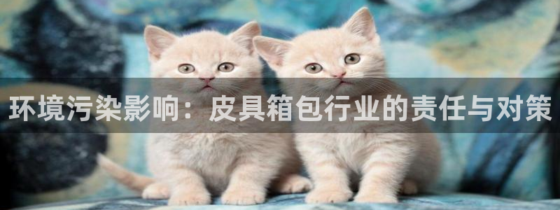 富邦娱乐项目