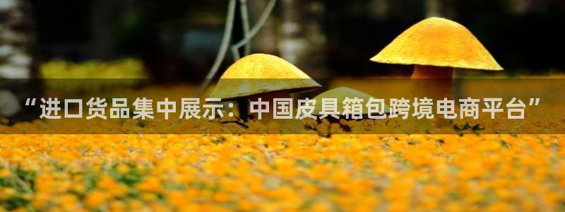 富邦娱乐城fub
