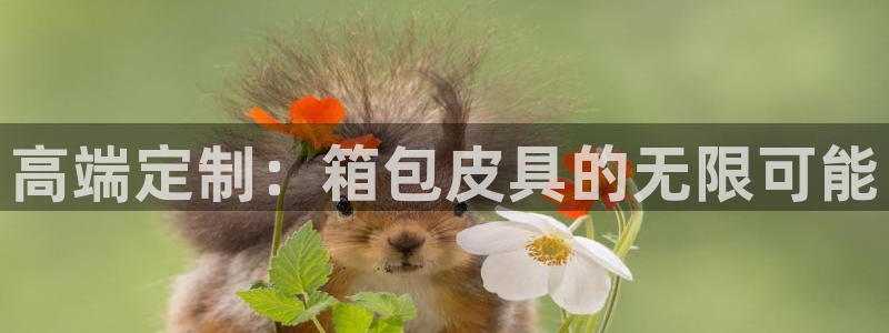 富邦翡翠娱乐怎么样