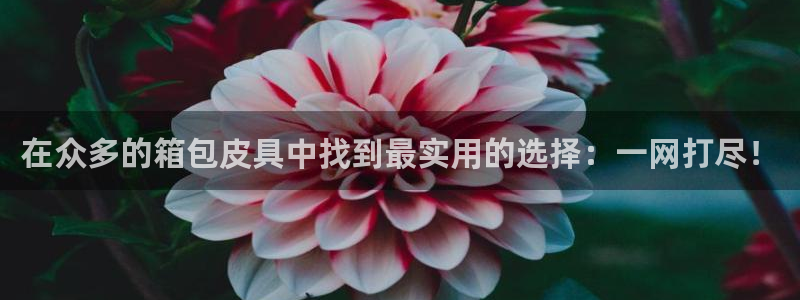富邦娱乐场