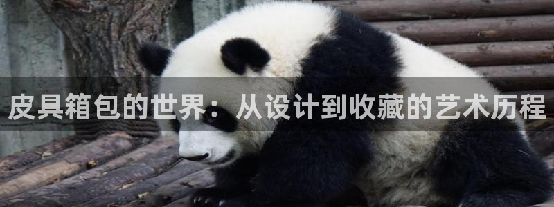 宁波富邦广场娱乐会所