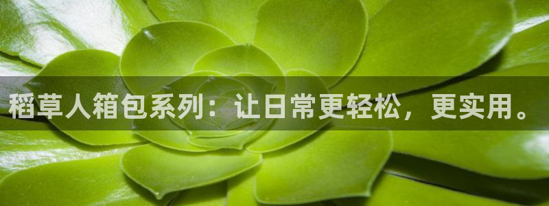 富邦娱乐网站登录