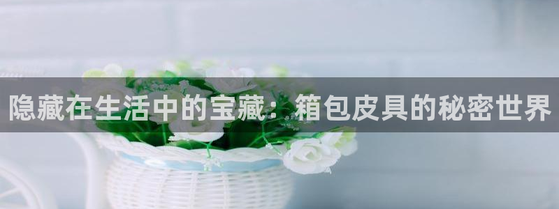 富邦娱乐登入 全礴网
