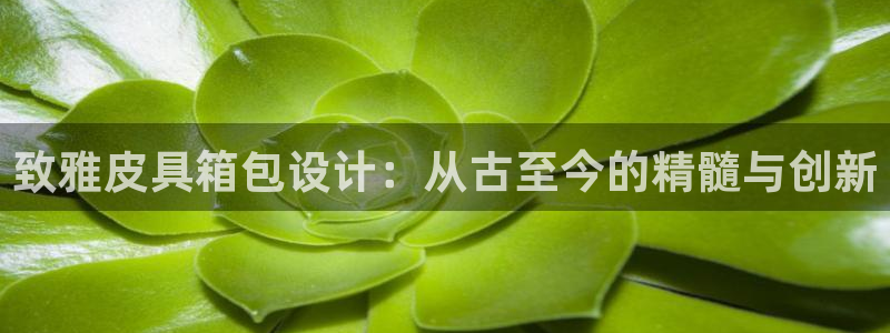 富邦娱乐充值
