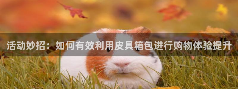 富邦娱乐网
