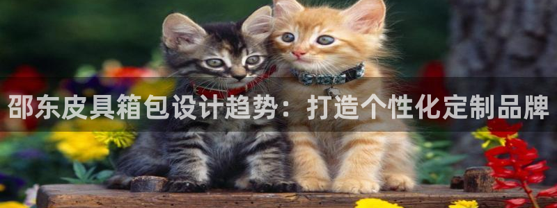 富邦娱乐登入探索无限空间