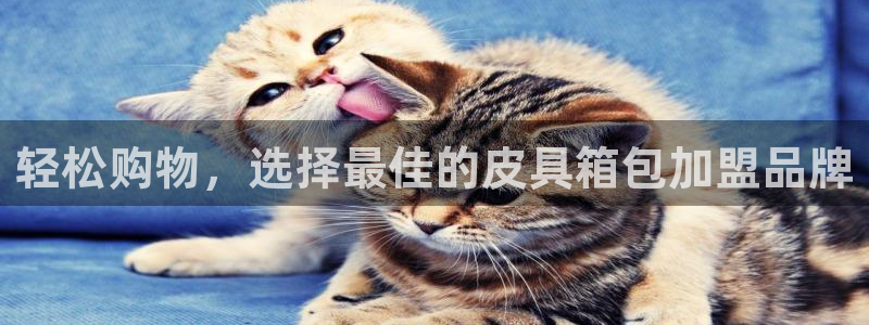 富邦娱乐澳门娱乐