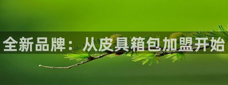 富邦娱乐合并