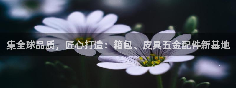 富邦广场的娱乐项目