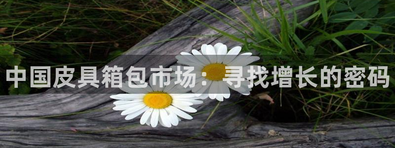 富邦电子娱乐