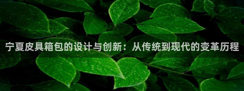 北仑富邦娱乐