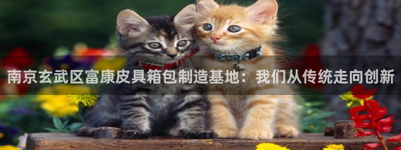 富邦电子娱乐网址