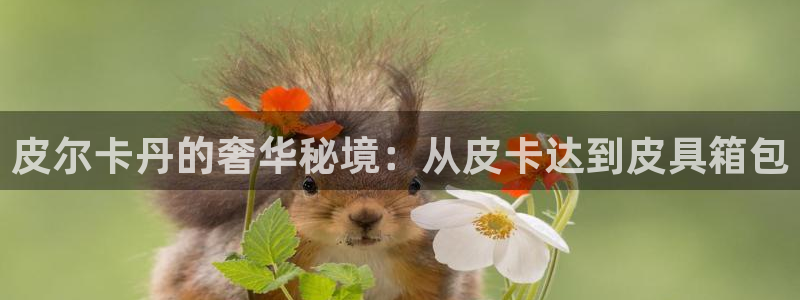 临平富邦娱乐场所