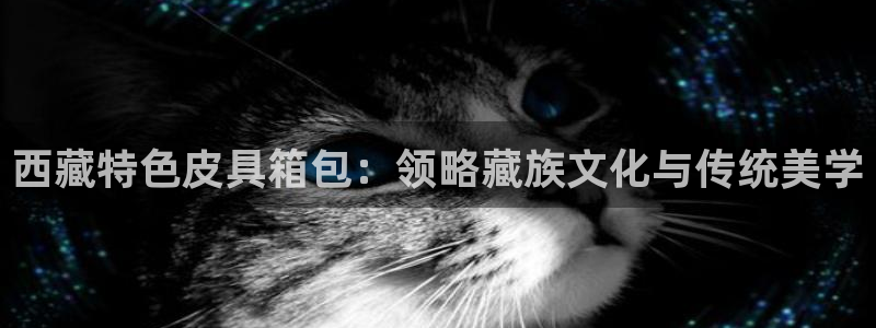 富邦娱乐彩票最新地址