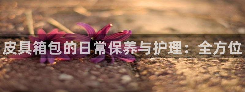 富邦娱乐注册-上全狐网