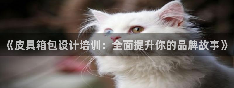 富邦娱乐fub