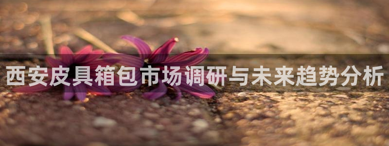 壹家娱乐北仑区富邦