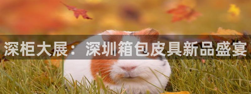 富邦娱乐登入 全礴网