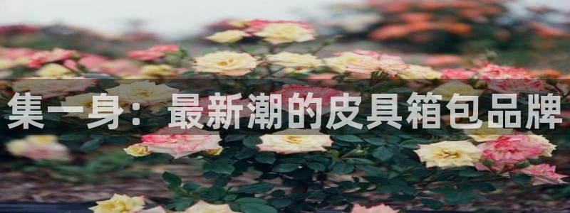 富邦娱乐平台-上全狐网