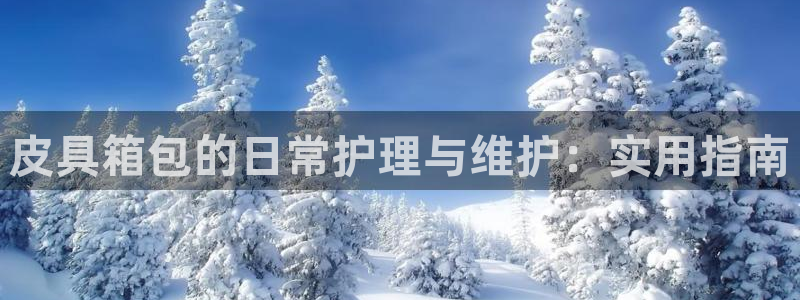 杭州富邦娱乐集团