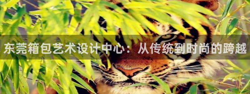 富邦娱乐app那里下载