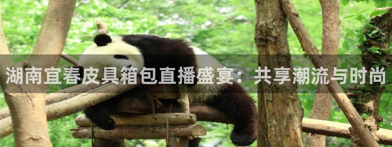 富邦商务娱乐会所电话