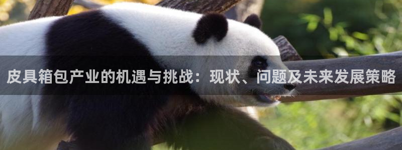 富邦娱乐团购卡怎么用